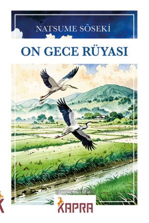 On Gece Rüyası kapağı