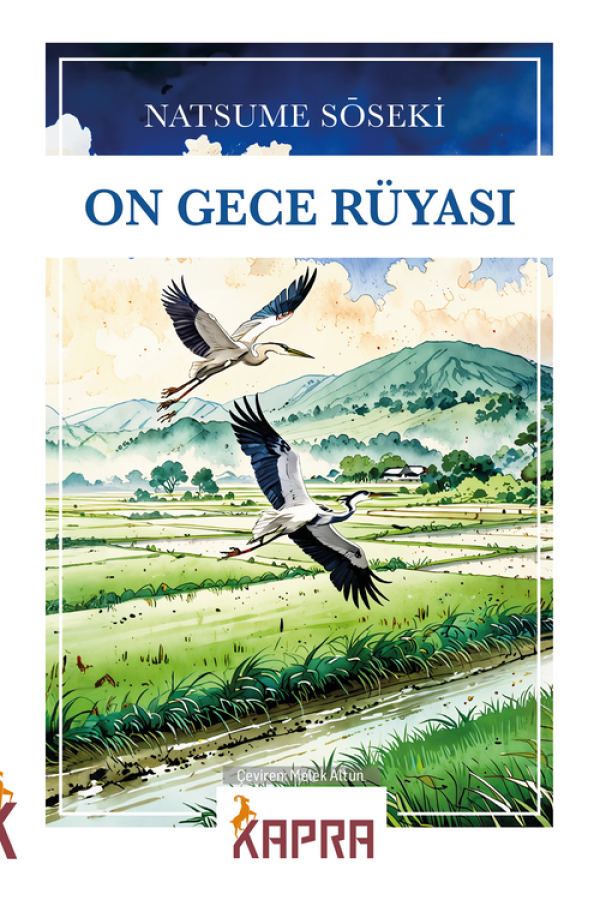 On Gece Rüyası kapağı