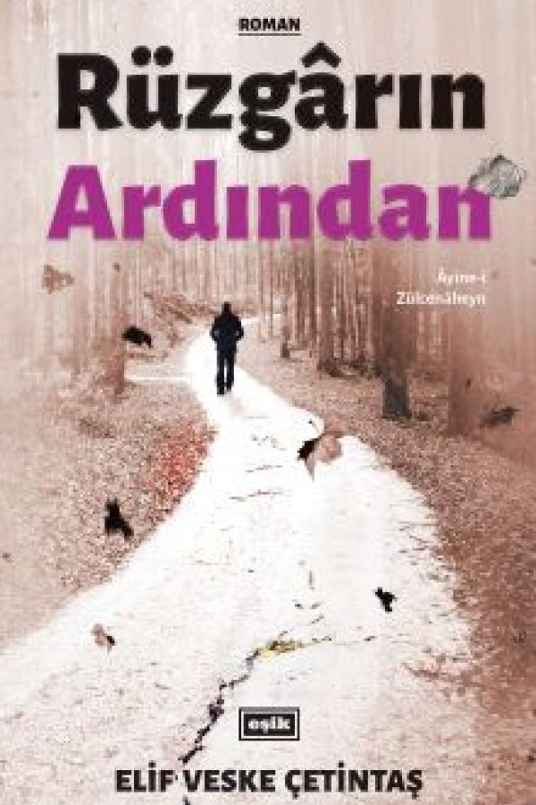 Rüzgarın Ardından kapağı