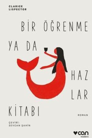 Bir Öğrenme ya da Hazlar Kitabı kapağı