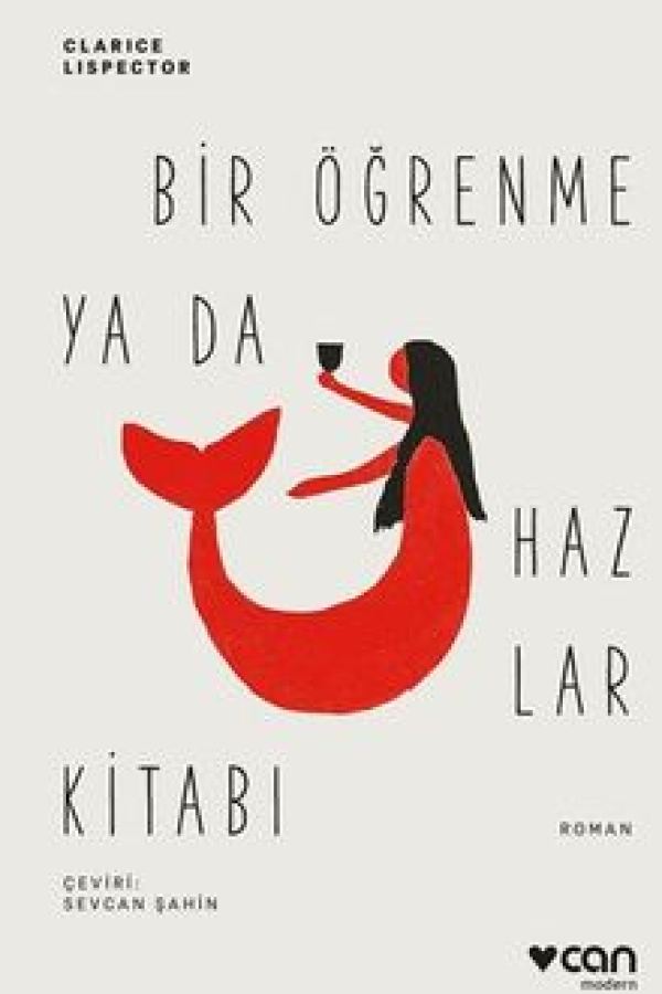 Bir Öğrenme ya da Hazlar Kitabı kapağı