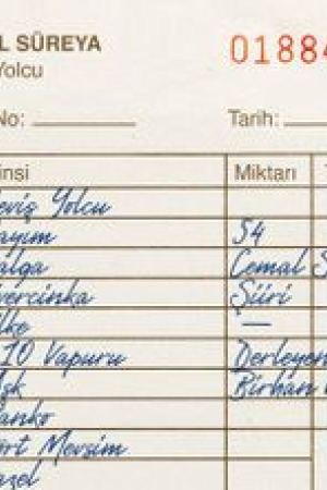 Seviş Yolcu kapağı