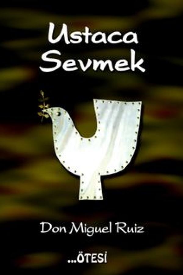 Ustaca Sevmek baskı kapağı