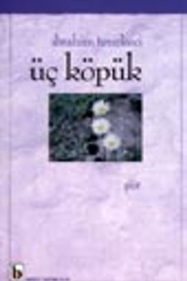 Üç Köpük baskı kapağı