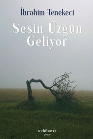 Sesin Üzgün Geliyor kapağı