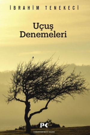 Uçuş Denemeleri kapağı