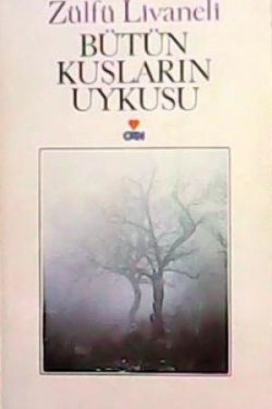 Bütün Kuşların Uykusu kapağı