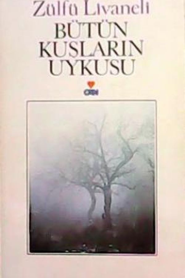 Bütün Kuşların Uykusu kapağı