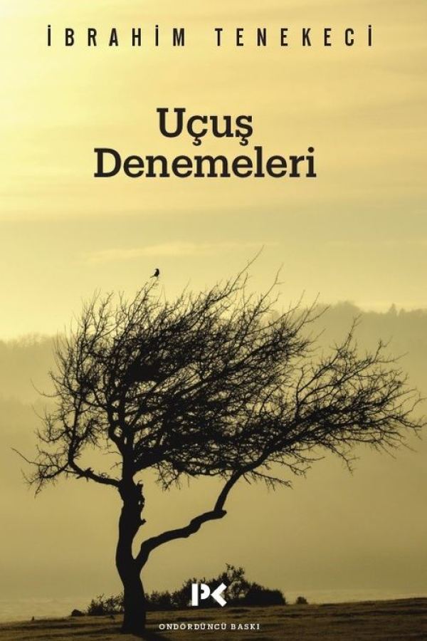 Uçuş Denemeleri kapağı