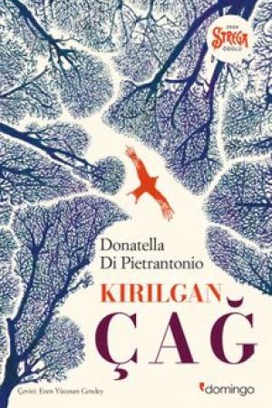 Kırılgan Çağ kapağı