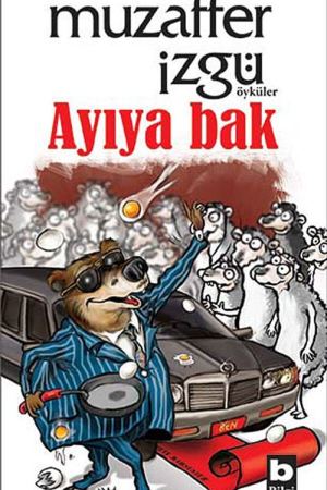 Ayıya Bak kapağı