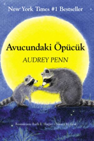 Avucundaki Öpücük kapağı