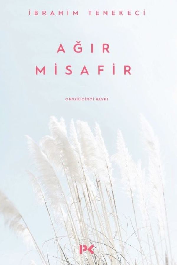 Ağır Misafir kapağı