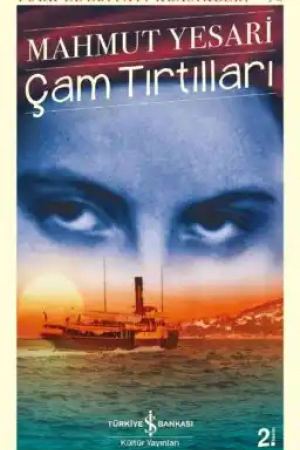 Çam Tırtılları kapağı