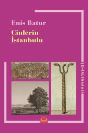 Cinlerin İstanbulu kapağı