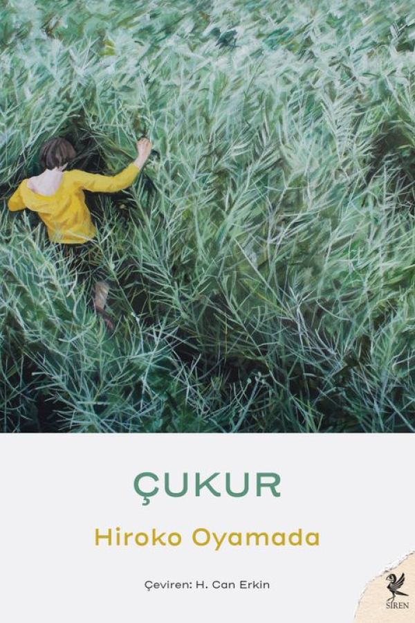 Çukur kapağı