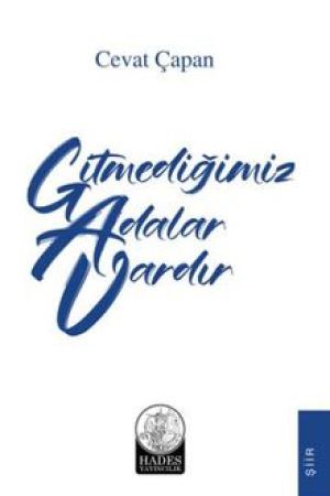 Gitmediğimiz Adalar Vardır kapağı