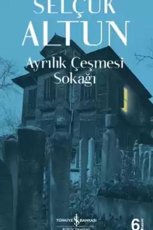 Ayrılık Çeşmesi Sokağı kapağı