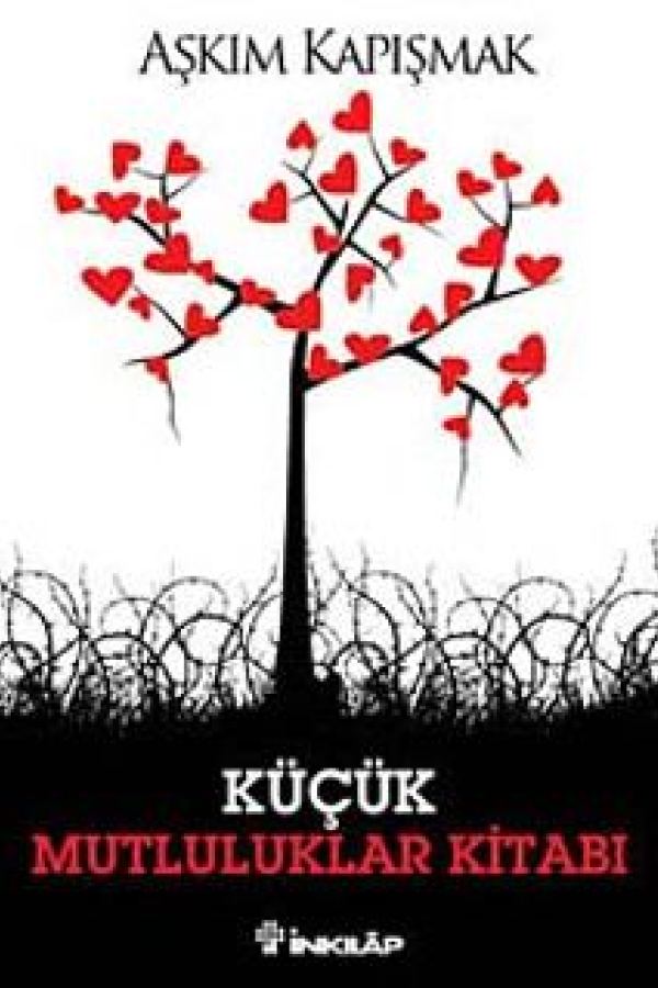 Küçük Mutluluklar Kitabı baskı kapağı