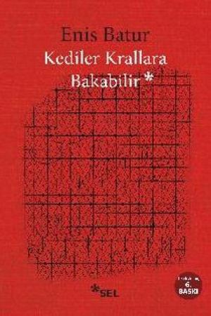 Kediler Krallara Bakabilir kapağı