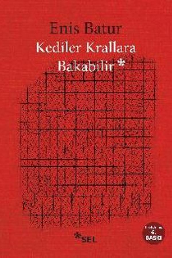 Kediler Krallara Bakabilir kapak görseli