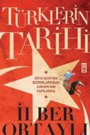 Türklerin Tarihi kapağı
