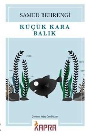Küçük Kara Balık kapağı