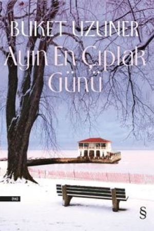 Ayın En Çıplak Günü kapağı