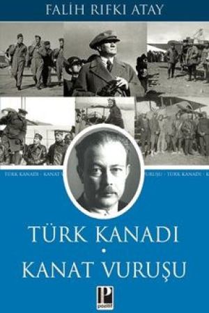 Türk Kanadı Kanat Vuruşu kapağı