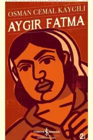 Aygır Fatma kapağı