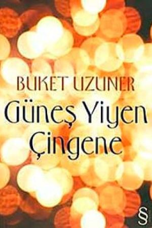 Güneş Yiyen Çingene kapağı