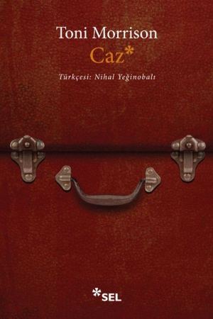 Caz kapağı