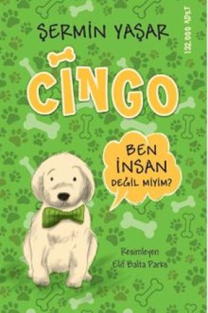 Cingo kapağı