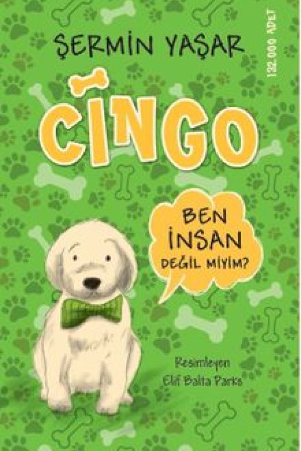 Cingo kapak görseli