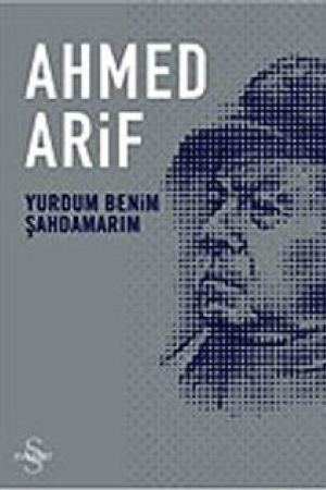 Yurdum Benim Şahdamarım kapağı