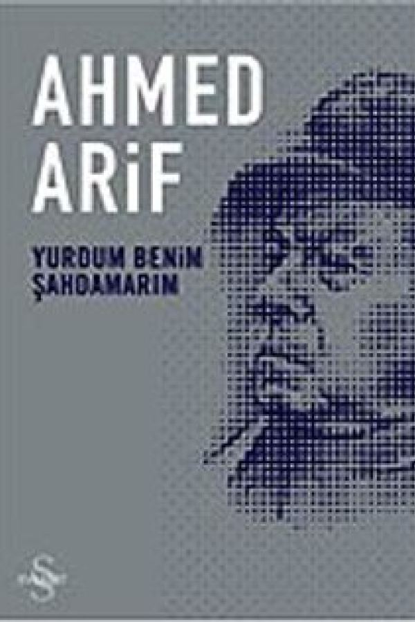 Yurdum Benim Şahdamarım baskı kapağı