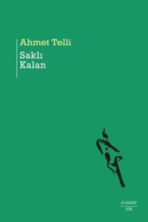 Saklı Kalan kapağı
