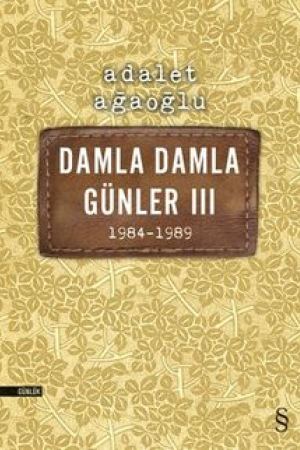 Damla Damla Günler 3 (1984-1989) kapağı