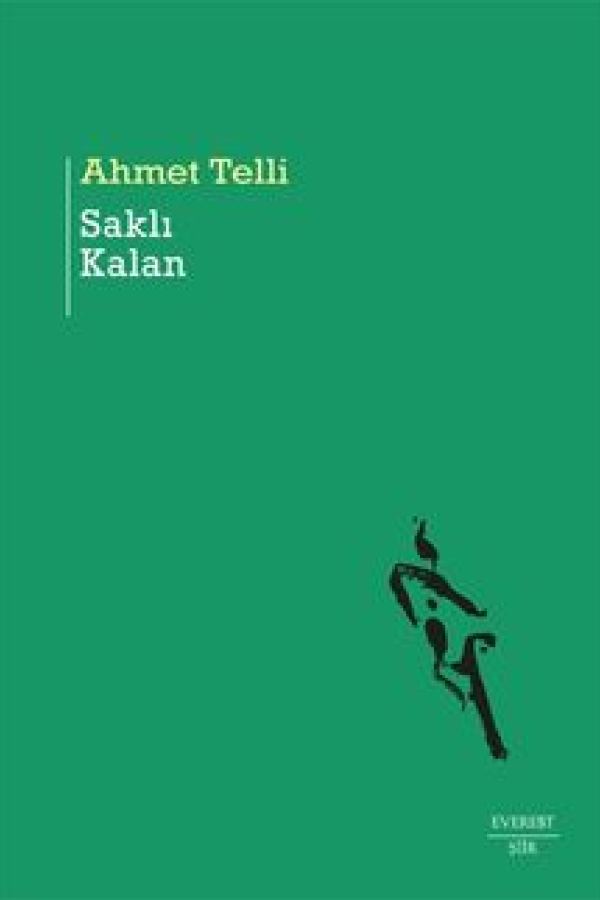 Saklı Kalan baskı kapağı
