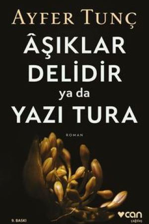 Aşıklar Delidir ya da Yazı Tura kapağı