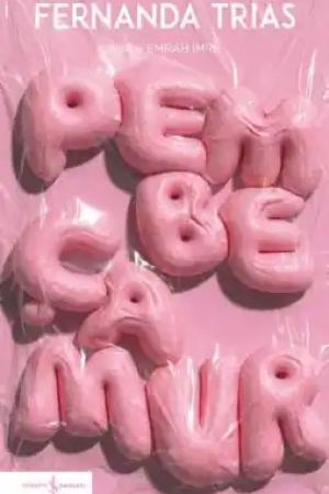 Pembe Çamur kapağı