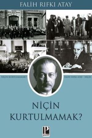 Niçin Kurtulmamak kapağı