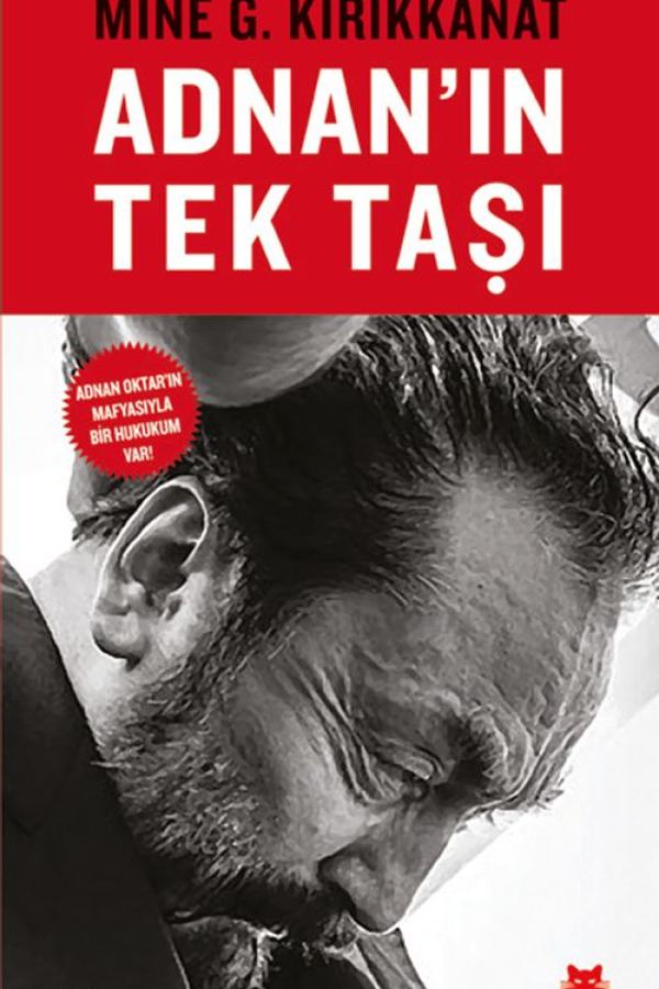 Adnan'ın Tek Taşı baskı kapağı