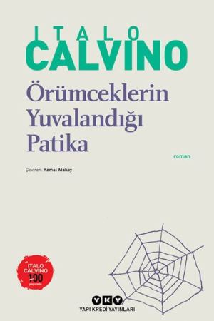 Örümceklerin Yuvalandığı Patika kapağı