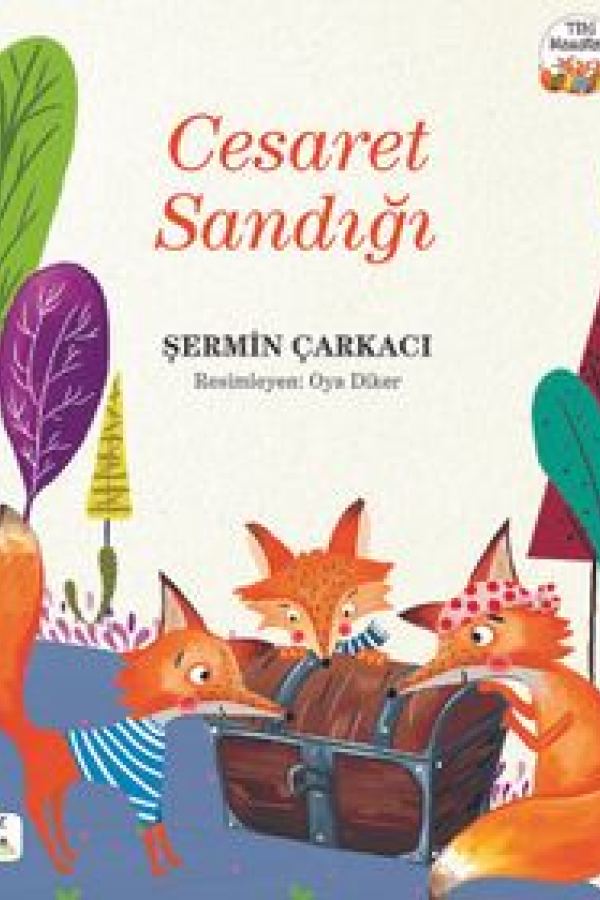 Cesaret Sandığı kapak görseli