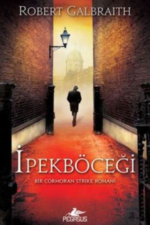 İpekböceği / Cormoran Strike 2 kapağı