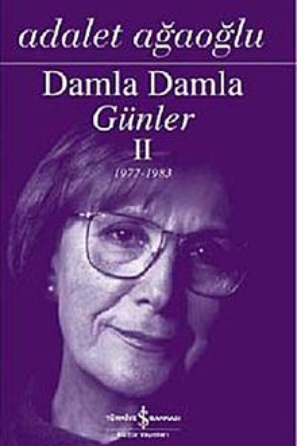 Damla Damla Günler 2 (1977-1983) baskı kapağı