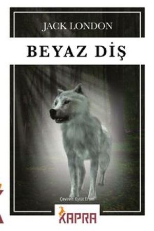 Beyaz Diş kapağı