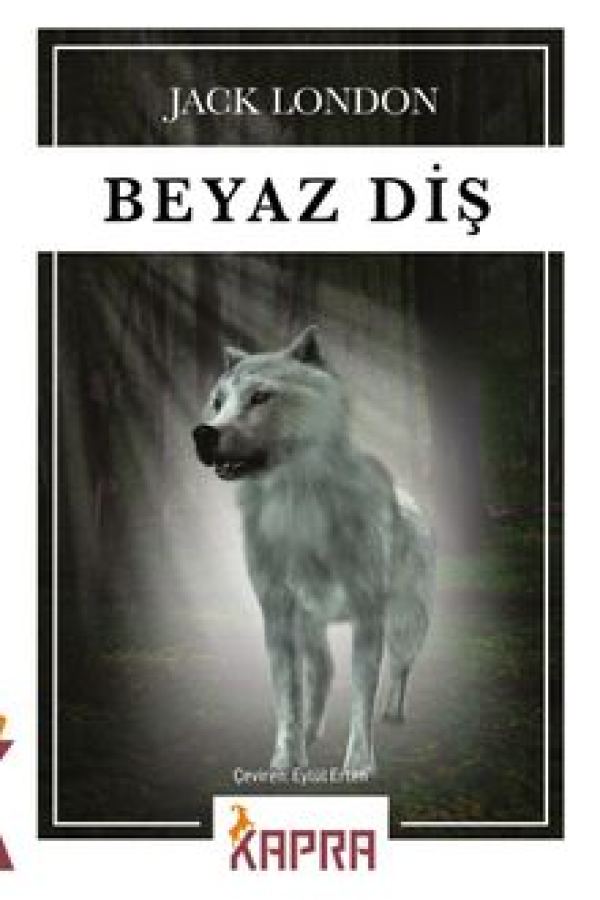 Beyaz Diş kapağı