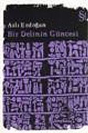 Bir Delinin Güncesi kapağı